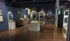 National Geographic brings Becoming Jane to Fort Worth Museum of Science & History