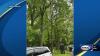 Woman injured in lightning strike in New Hampshire