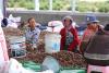 Australia, Japan combine to boost Cambodian cashew industry