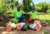 Smart Farming for a Food-Secure Future: how Saint Lucia continues to benefit from Taiwanese Expertise