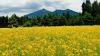 Best ideas for your Arizona summer vacation
