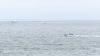 Coast Guard suspends search for Arizona-bound plane that crashed into ocean