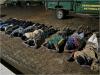 Yaounde: MINAT boss orders transfer of ...