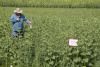 Canadian agriculture extension called too ‘top down’
