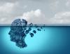 Healthy lifestyle habits may shield aging cells from brain disorders