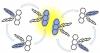 Rewrite Molecular hopscotch boosts light upconversion this news headline for the science magazine post