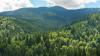 Hub launches new insurance product for Canada’s forestry industry
