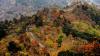 Best Autumn Destinations to Visit: Where to Go for Stunning Scenery and Seasonal Charm