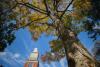 APSU Board of Trustees Unveils 2025 Award Recipients for Service and Support