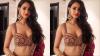Disha Patani Birthday Special: A look at actress's luxurious lifestyle and assets