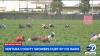 Ventura County agricultural growers hurt by farmworker ICE raids
