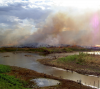 SA’s gold mining past poisons Soweto community, residents say