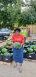 Federal cuts hit farmers and food banks: 'It really hurts'
