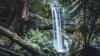 Tasmania Emerges as a Hotspot for Indonesian Tourists