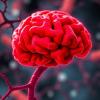 Rewrite Murine maternal microbiome modifies adverse effects of protein undernutrition on offspring neurobehaviour as a headline for a science magazine post, using no more than 8 words