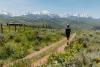 Viral Summit County wildflower hike has attracted crowds, illegal parking and social media misinformation