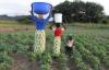 US Disrupts African Food Tech