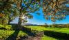 Kilkenny host of first agri homeopathy conference