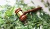 Medical Cannabis Telehealth Bill Vetoed by Hawaii Governor Josh Green