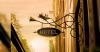 Noida authority approves luxury hotels to boost business near airport