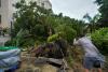 Death toll rises to five, two missing as Typhoon Wutip floods submerge farmland in Vietnam