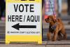 Republicans Turn on Each Other in Arizona