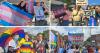 Transgender activists and allies call for 'basic human rights' at protest