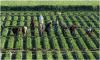 Funding our agriculture