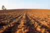 Scientists make concerning discovery after studying farmland soil: 'Highlights the urgent need for coordinated scientific and regulatory efforts'