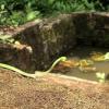 Erode residents report high textile industry pollution levels