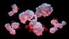 Veranova, Enzene plot new biologic manufacturing expansions on East Coast