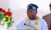 UN Recognised Human Rights Group Slams Tinubu Government Over Killings in Benue and Across Nigeria