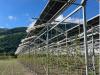 Agrivoltaics for cherries