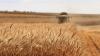 Agribusiness confidence slips from 14-quarter high