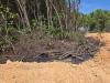 Environmental violations halt Noval Properties project in Las Terrenas