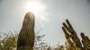 Arizona takes lead as OSHA opens hearings on federal heat rule