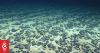 Nauru says deep sea mining and ocean conservation can coexist