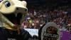 Arizona Rattlers’ Season Spirals After Another Meltdown In Third Straight Loss