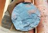 Scientists studying Earth's largest iron ore deposits uncover a 1.3-billion-year-old secret