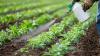 WI farmer education collab helps save money, environment