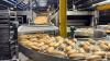 Food and drink firms invested €166m in R&D in 2024