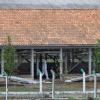 Brazil says free of bird flu, will resume poultry exports
