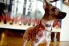 Brazil Draws Ethical Line as Pet Humanization Hits Inked Extreme