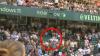 Tennis fan taken to hospital after getting hit by falling advertising board during Alexander Zverev’s clash at Halle Open