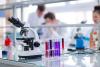 Why ResMed (ASX:RMD) Is Gaining Attention Among ASX200 Healthcare Stocks