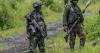 End in sight to bloody conflict in eastern Congo