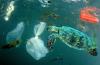 Scientists: Plastic Treaty Needs To Include Plastic Production Cuts