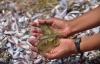 AGRIMINGOLD becomes first Ecuadorian shrimp farm to join ASC’s improver program