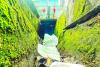Plastic bags still used despite environmental, health risks