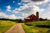 Idaho’s 11 Most Valuable Crops May Totally Surprise You